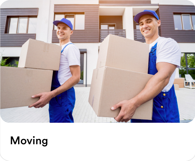 Professional movers in blue uniforms carrying cardboard boxes outside a residential building to illustrate home moving services and packers and movers in the UAE.