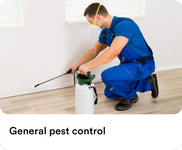 Exterminator in a blue uniform and face mask spraying baseboards with a chemical pump tank to illustrate residential general pest control services.